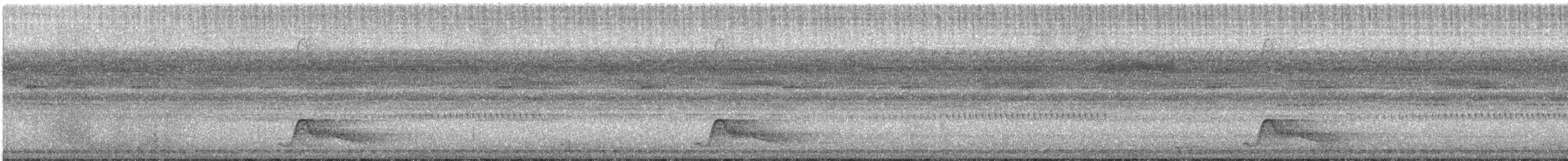 Pauraquenachtschwalbe - ML246791661
