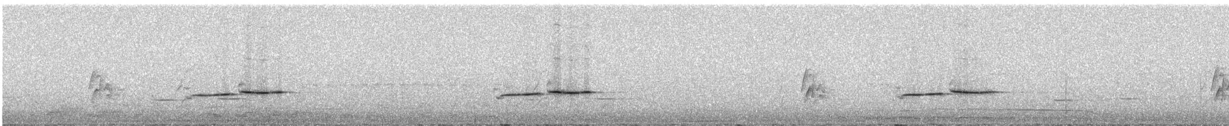 Дрізд-короткодзьоб сірий [група fuscater] - ML246794