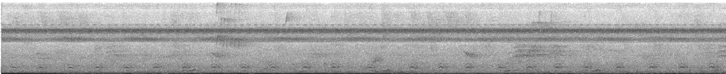 Slaty-tailed Trogon - ML246797341