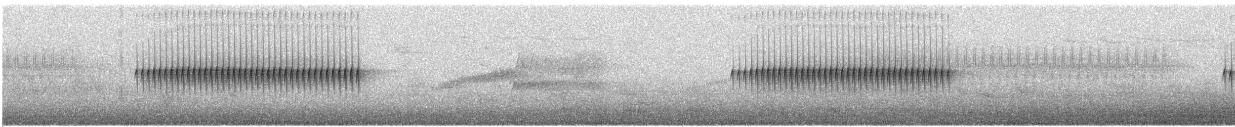 Юнко сірий [група oreganus] - ML246801781