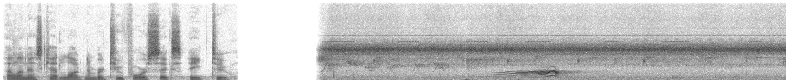 orlík hnědý - ML24682