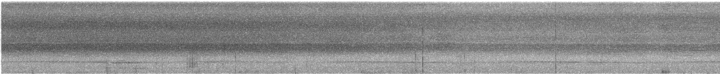 Trogón Pechinaranja (grupo dulitensis) - ML246828181