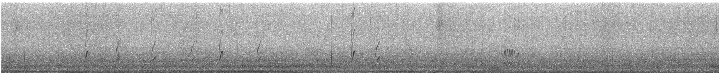 Malaysian Plover - ML246828301