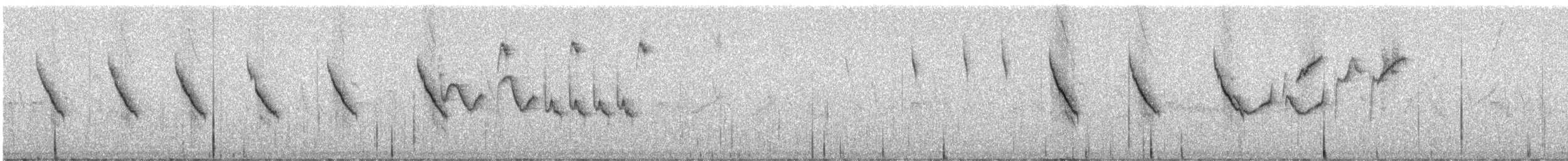Kara Takkeli Hemispingus (auricularis) - ML246852