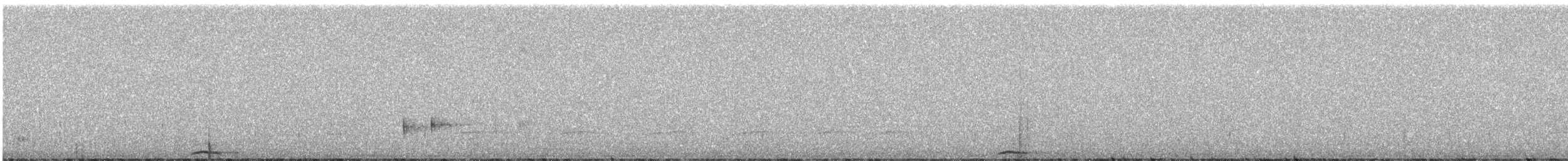 Grallaire de Ridgely - ML246854