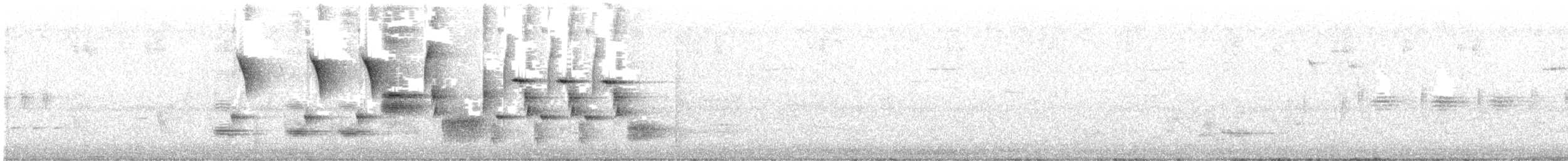 Song Sparrow - ML246867991