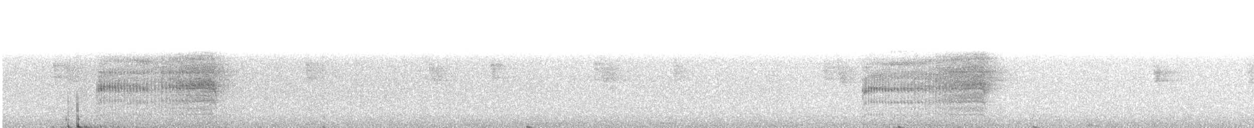 Pabuç Gagalı Tiran [mexicanus grubu] - ML24690121