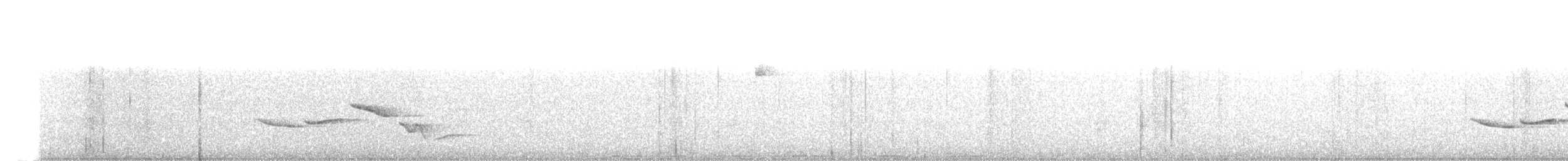 Spot-breasted Wren - ML24690221