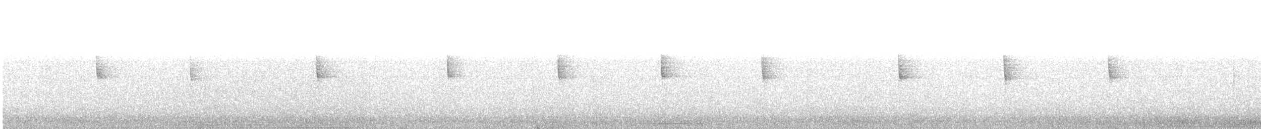 Hooded Warbler - ML24690851