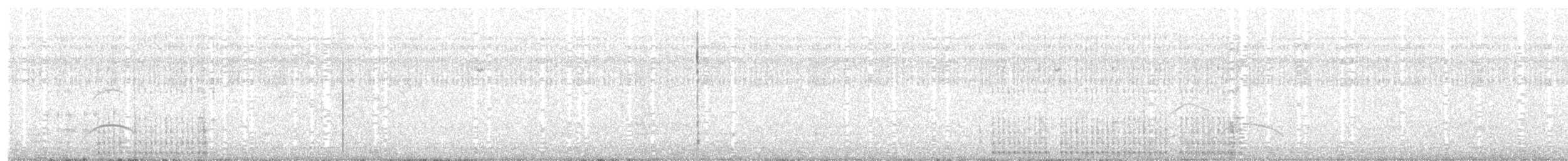 Braunmantel-Austernfischer - ML246916131