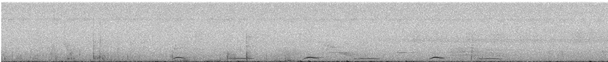 holub skvrnkoprsý - ML246922