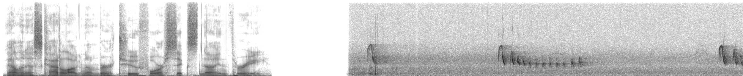 Рувензорский турако (johnstoni) - ML24693