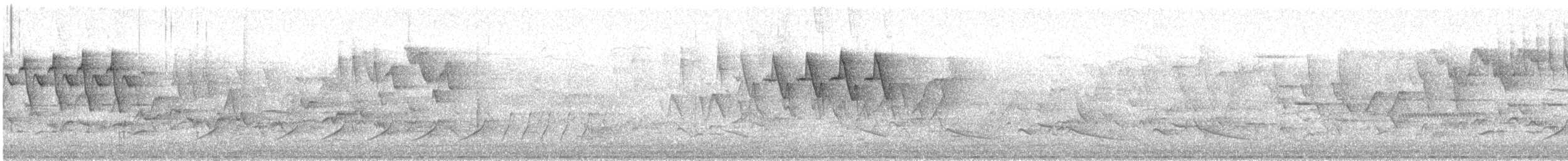 American Redstart - ML246935421