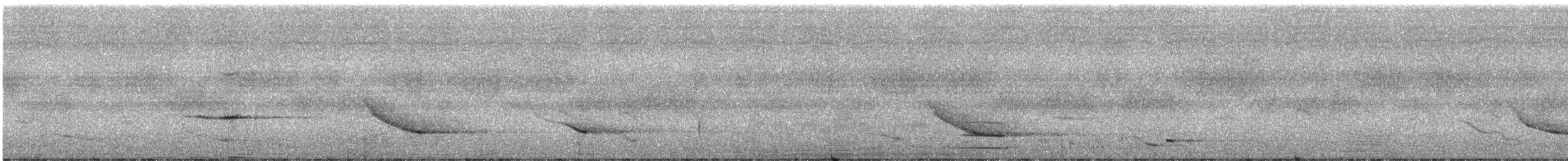 brunvingestær - ML246939