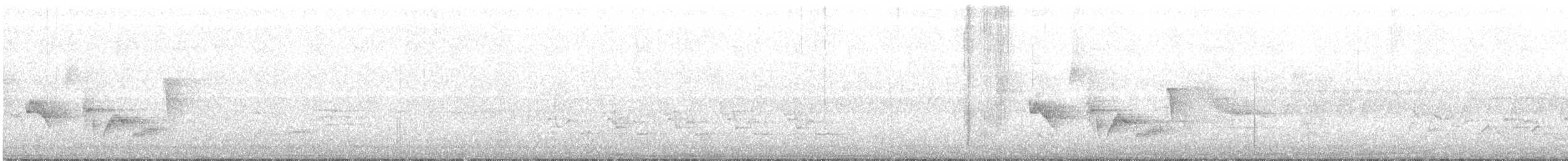 メジロモズモドキ - ML246963951