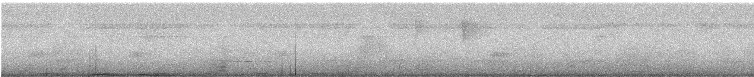Kestane Karınlı Has Güvercin - ML246964