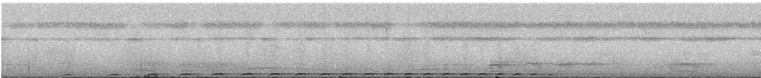 holub žlutopásý - ML246968