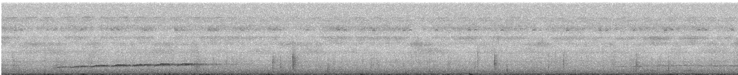 Тихоокеанский коэль (cyanocephalus/subcyanocephalus) - ML246972