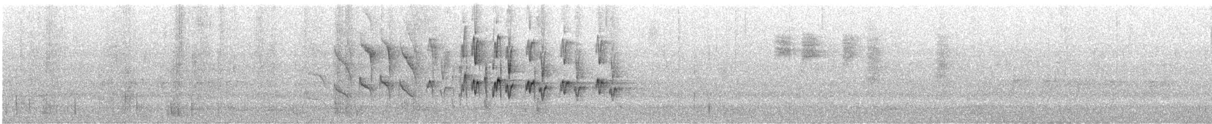 Méliphage à bec fort - ML246979651