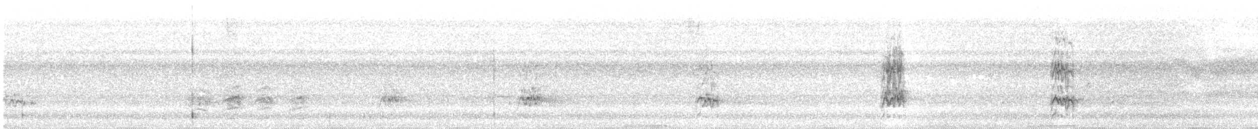 Slender-billed Parakeet - ML246981241