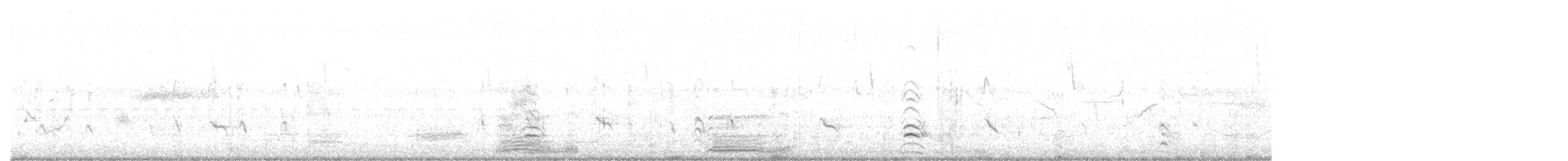 Snowy Egret - ML246981341