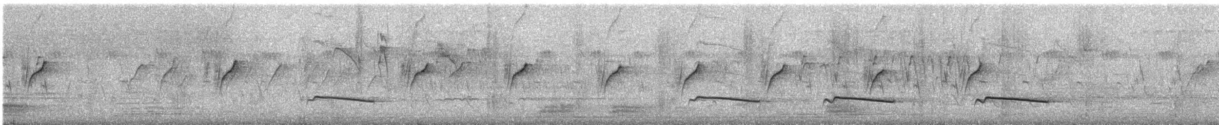 Gray-bellied Cuckoo - ML246983981