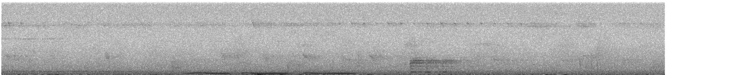 Kestane Karınlı Has Güvercin - ML246992