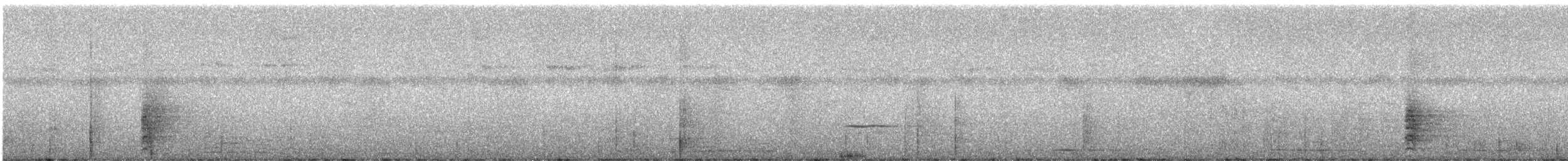 Méliphage de San Cristobal - ML247012