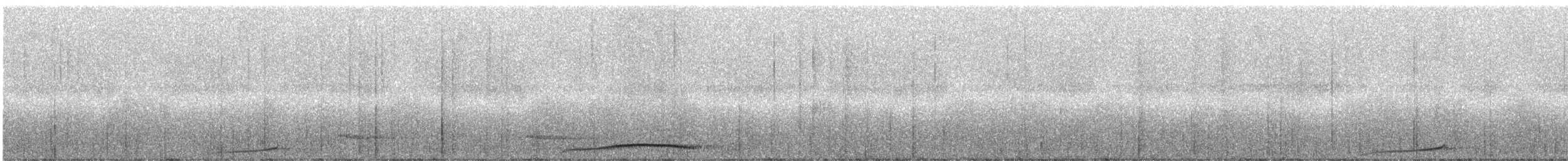 Голуб-довгохвіст чубатий - ML247014
