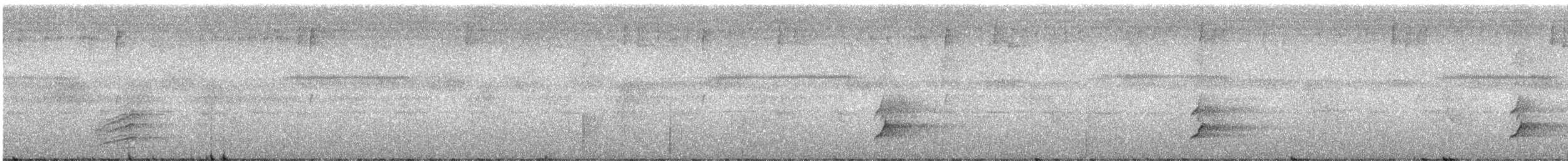 Méliphage de San Cristobal - ML247017