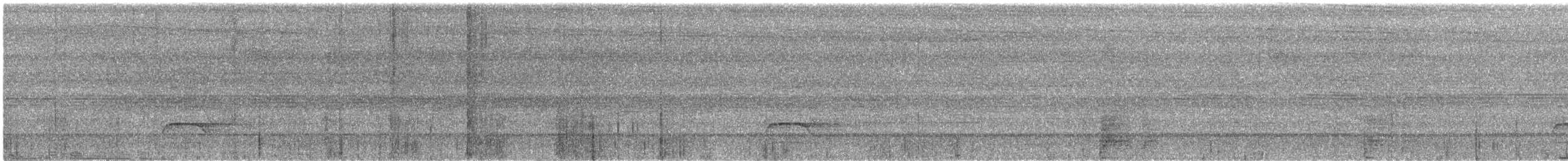 Banded Woodpecker - ML247025991