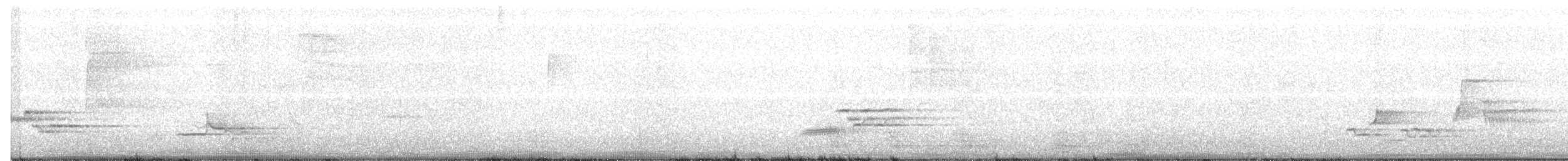 Grive des bois - ML247030741