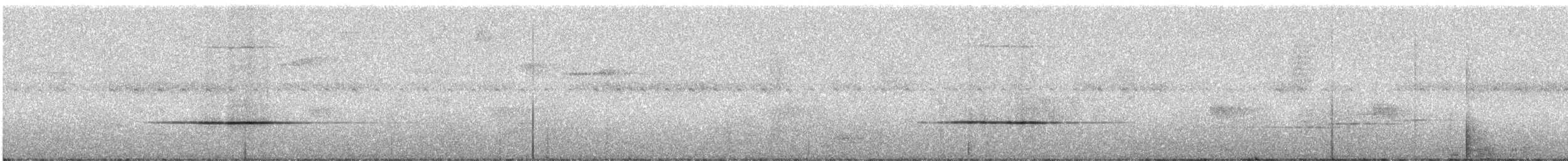 Yıldızlı Drongo (longirostris) - ML247046