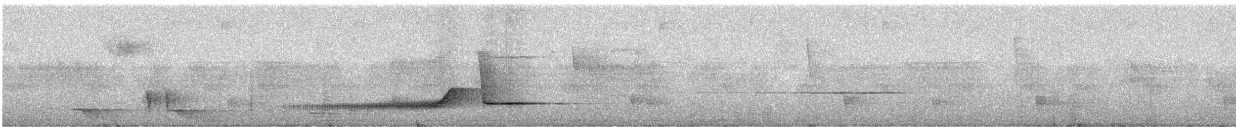 Сверкающий дронго (longirostris) - ML247050