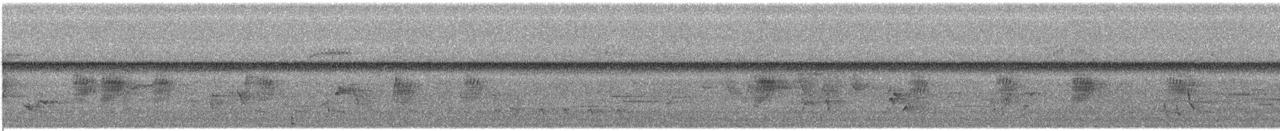 キタオビナシショウドウツバメ - ML247062861