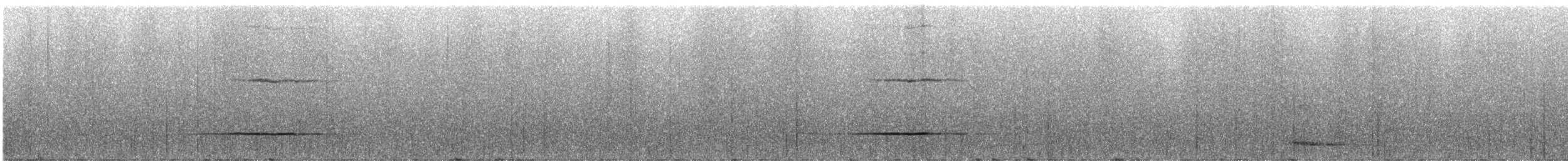 Сверкающий дронго (longirostris) - ML247067