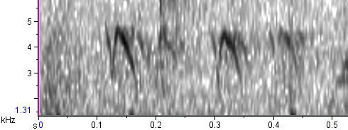 Mokokerra (3 mota) - ML24707151