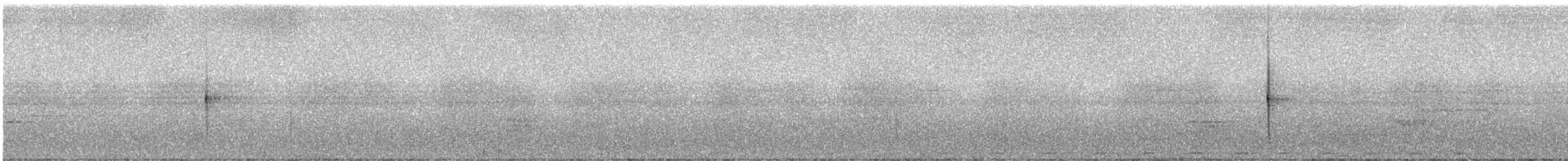 Санкристобальская веерохвостка - ML247081