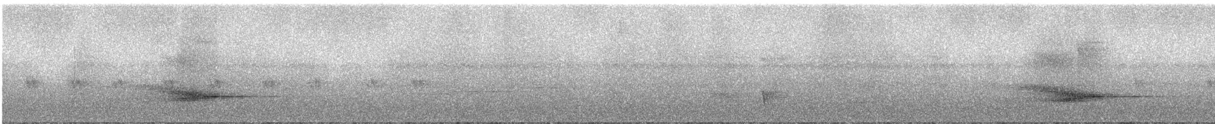 Yıldızlı Drongo (longirostris) - ML247082
