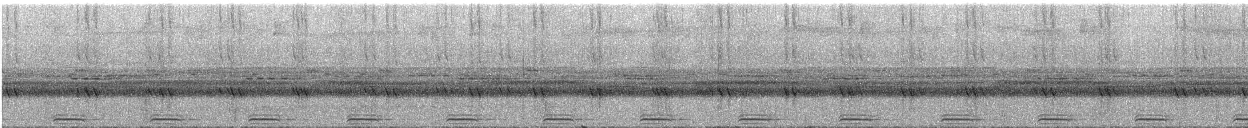 Ninox de las Salomón Occidentales (roseoaxillaris) - ML247088