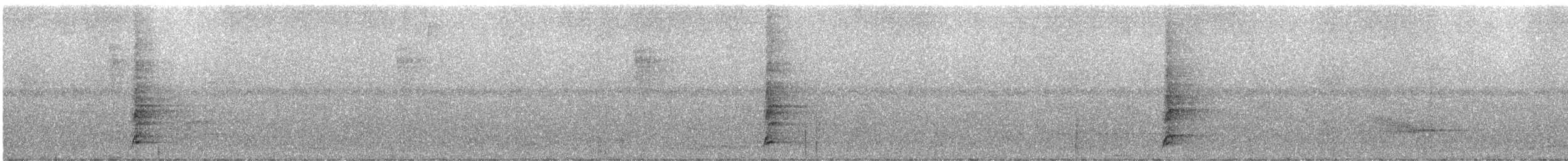 Méliphage de San Cristobal - ML247096