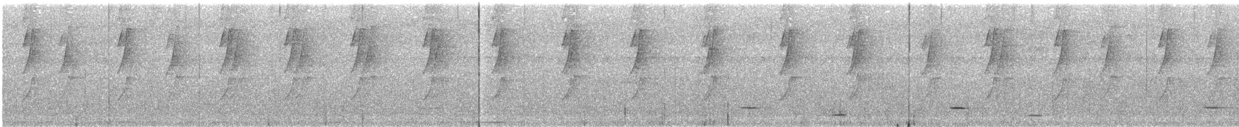 Длинноклювый колибри-отшельник - ML247099471