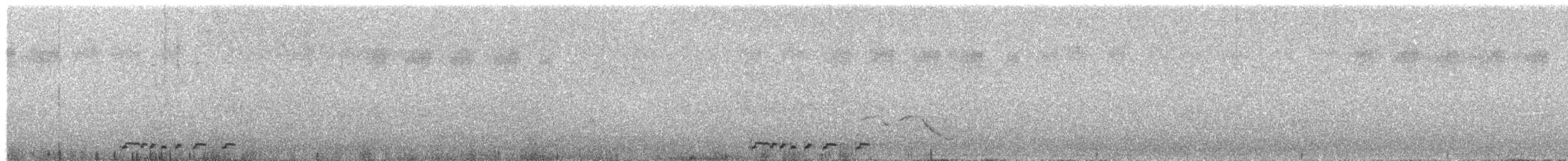 斑馬鳩 - ML247102181