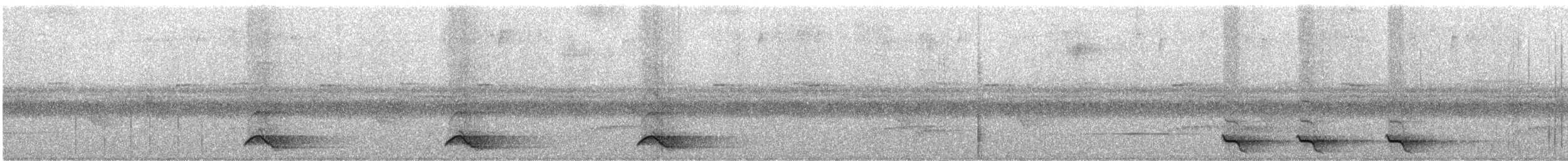 Méliphage de San Cristobal - ML247106