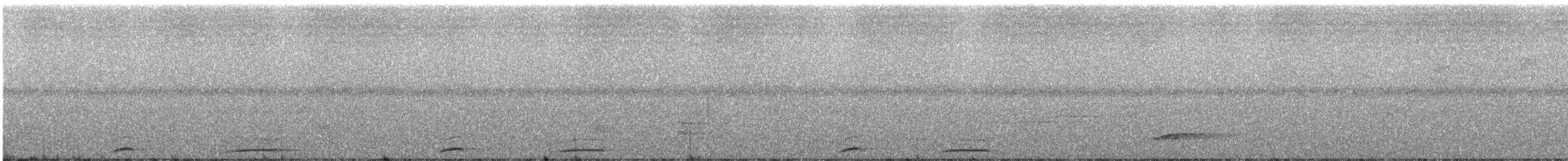holub skvrnkoprsý - ML247110