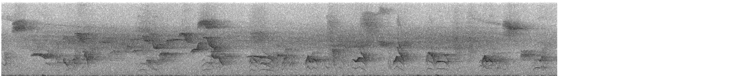 Сверкающий дронго (longirostris) - ML247115