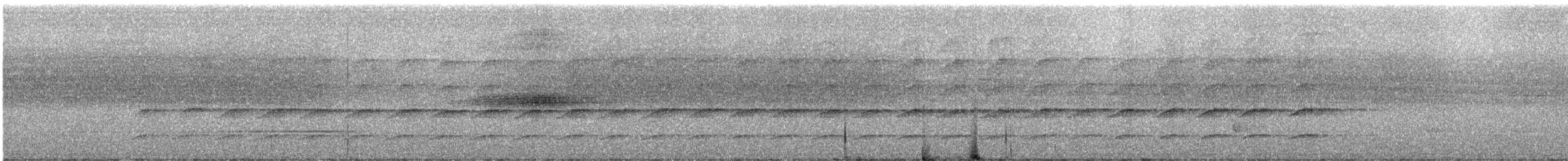 Сверкающий дронго (longirostris) - ML247119