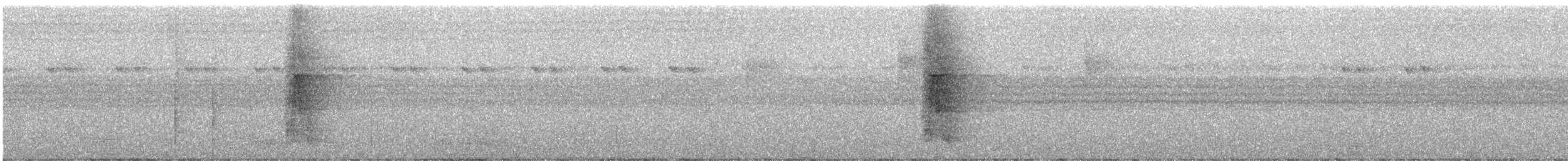 Méliphage de San Cristobal - ML247120