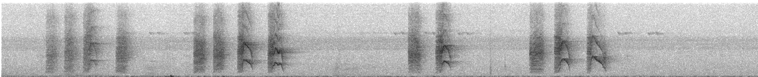 Oriole Whistler - ML247122