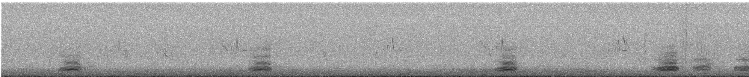 Чихуахунский ворон - ML247125761